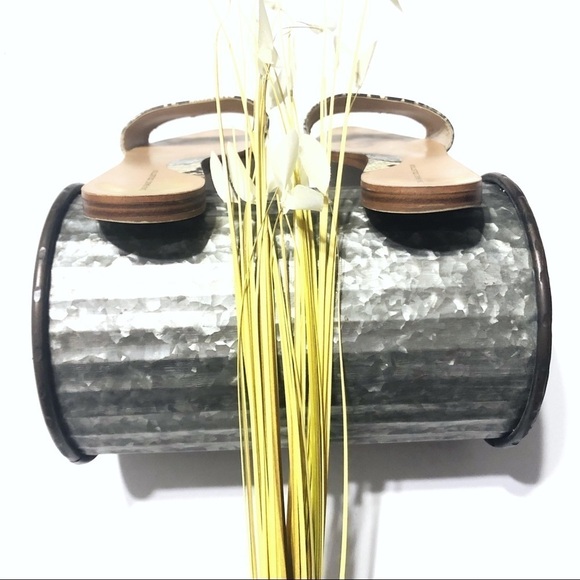 ZARA Snakeskin Print Slides - Picture 3 of 6